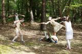 Promenons nous dans les bois 109 * 5616 x 3744 * (13.18MB)